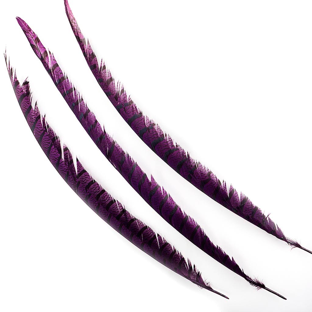 Lady Amherst Pheasant Tails - Purple - Feathers