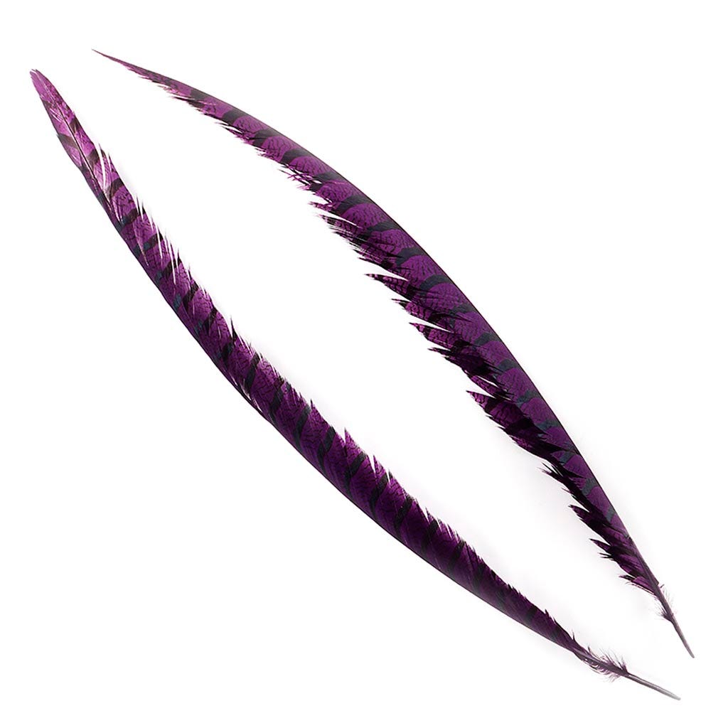 Lady Amherst Pheasant Tails - Purple - Feathers