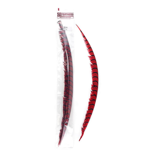 Lady Amherst Pheasant Tails Red - Feathers