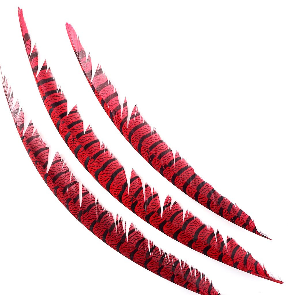 Lady Amherst Pheasant Tails Red - Feathers