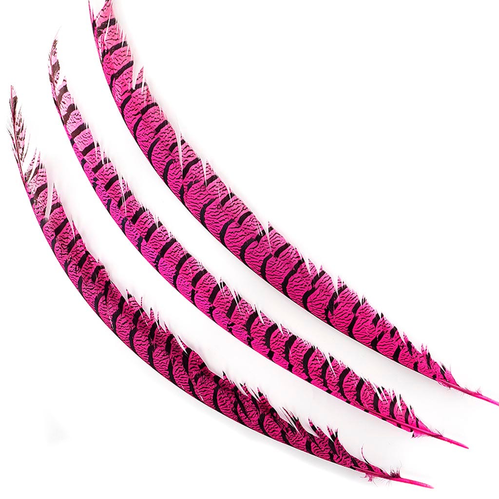 Lady Amherst Pheasant Tails - Shocking Pink - Feathers