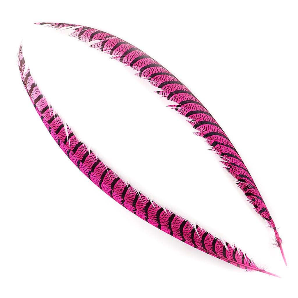 Lady Amherst Pheasant Tails - Shocking Pink - Feathers