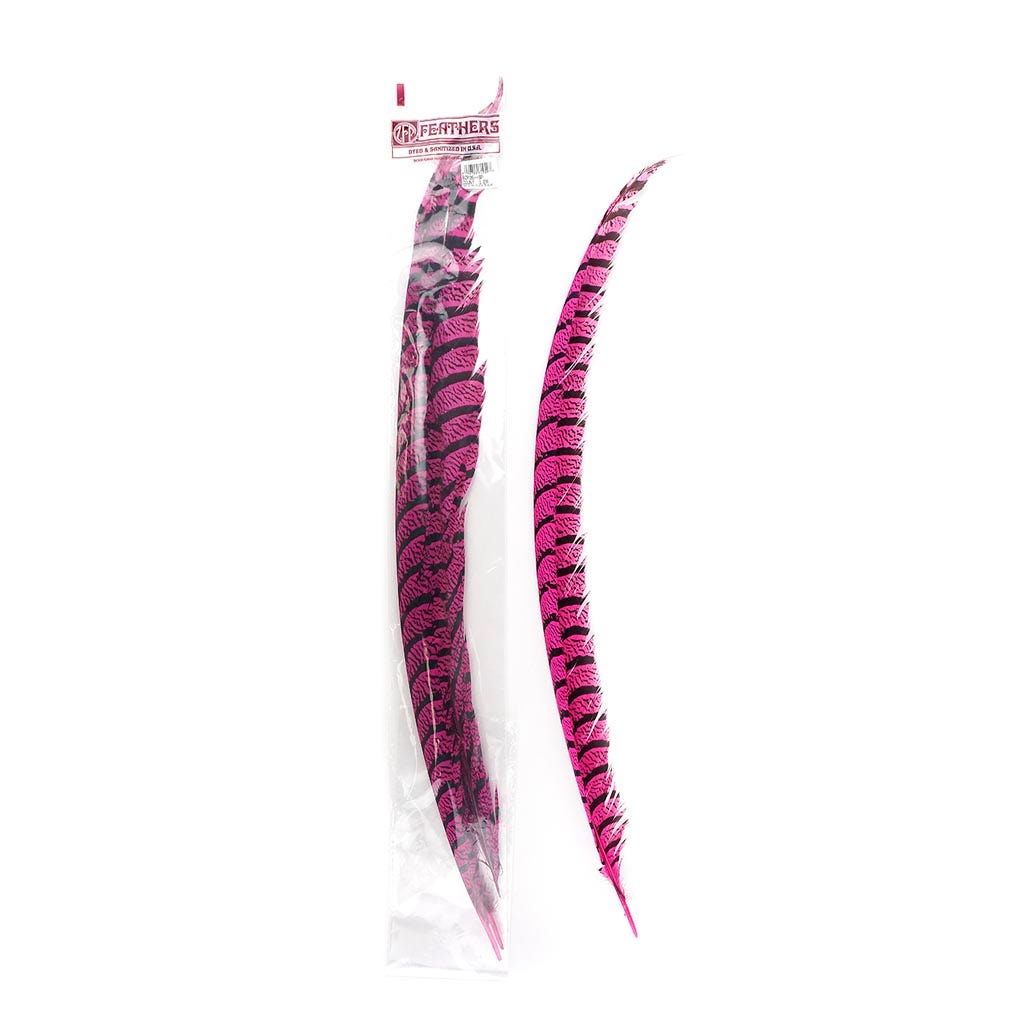 Lady Amherst Pheasant Tails - Shocking Pink - Feathers