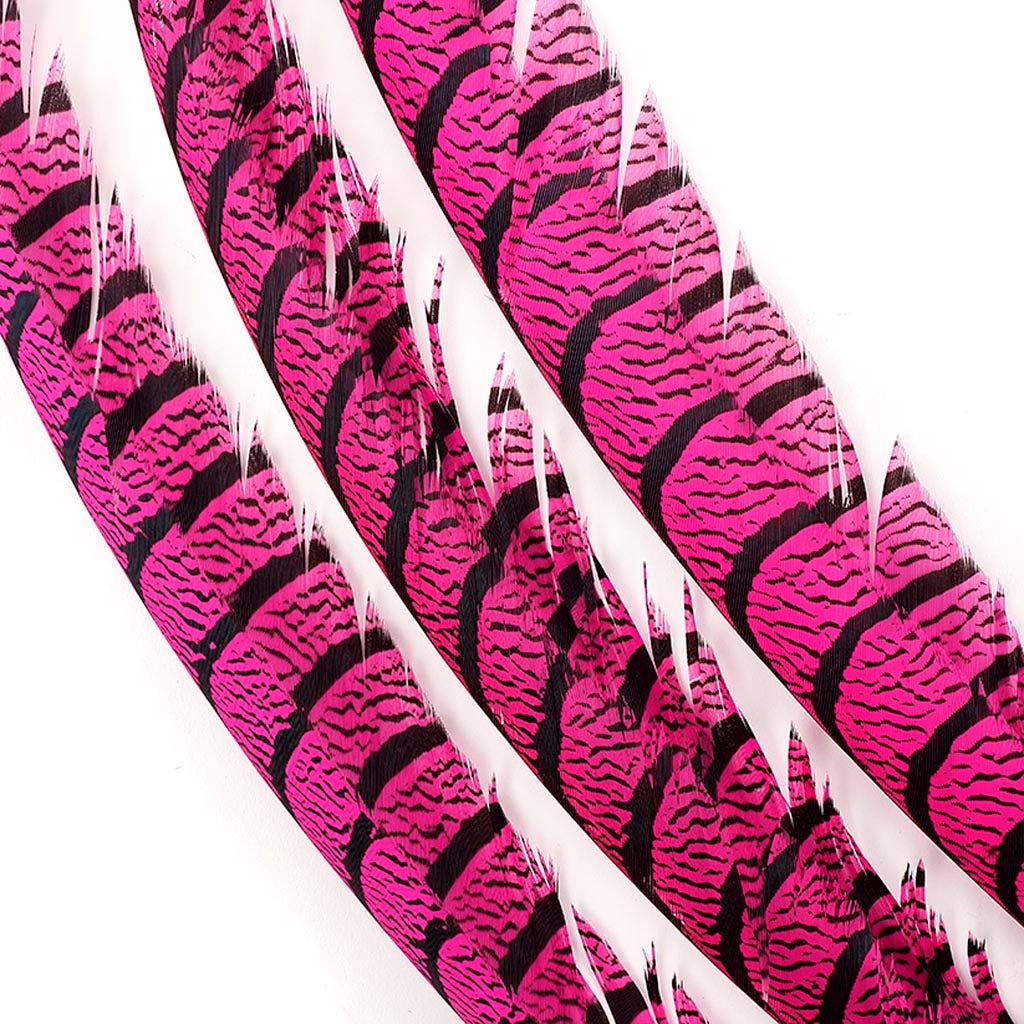 Lady Amherst Pheasant Tails - Shocking Pink - Feathers