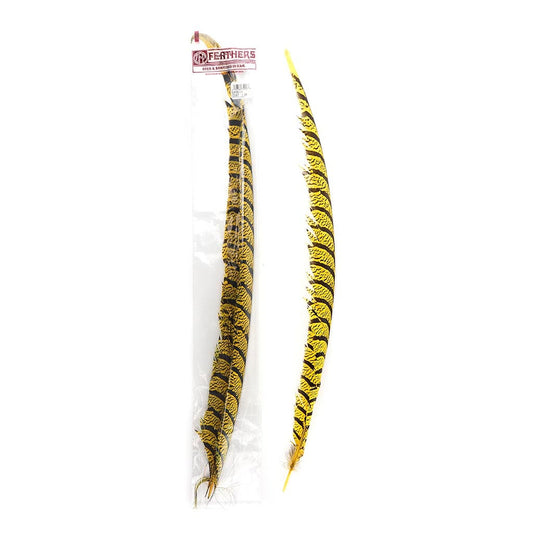 Lady Amherst Pheasant Tails - Yellow - Feathers