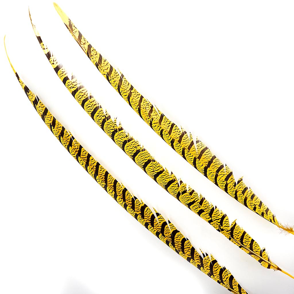 Lady Amherst Pheasant Tails - Yellow - Feathers