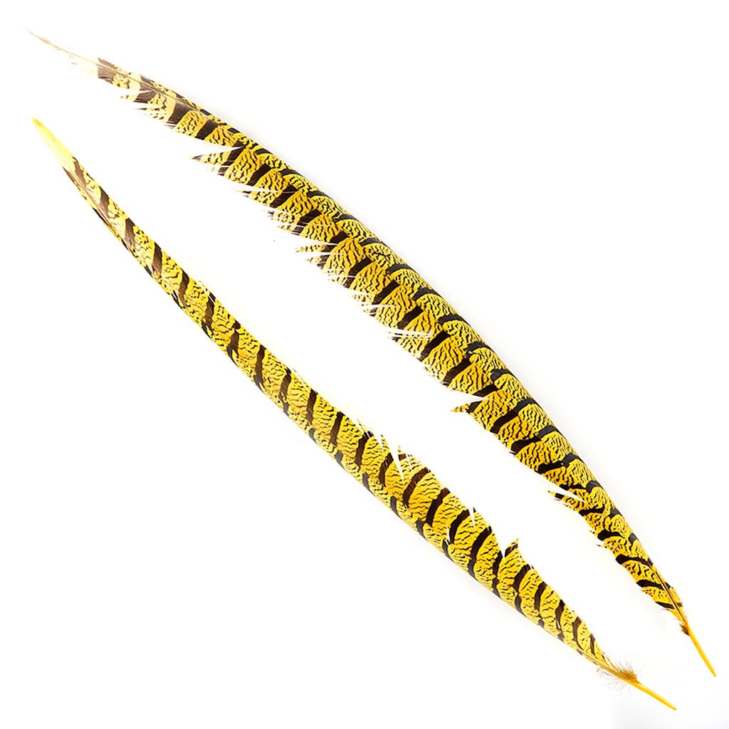 Lady Amherst Pheasant Tails - Yellow - Feathers