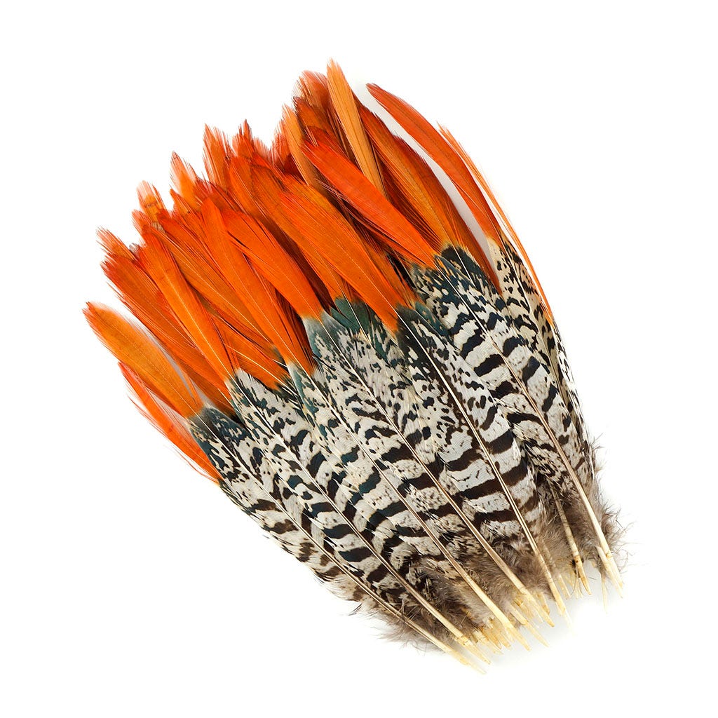 Lady Amherst Red Top Tail Feathers - Natural - Feathers