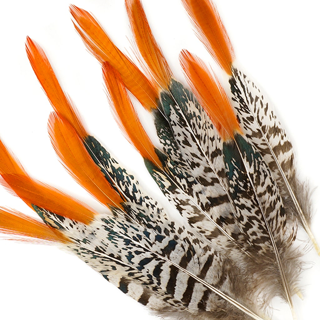 Lady Amherst Red Top Tails - Natural-6-8’’ - Feathers