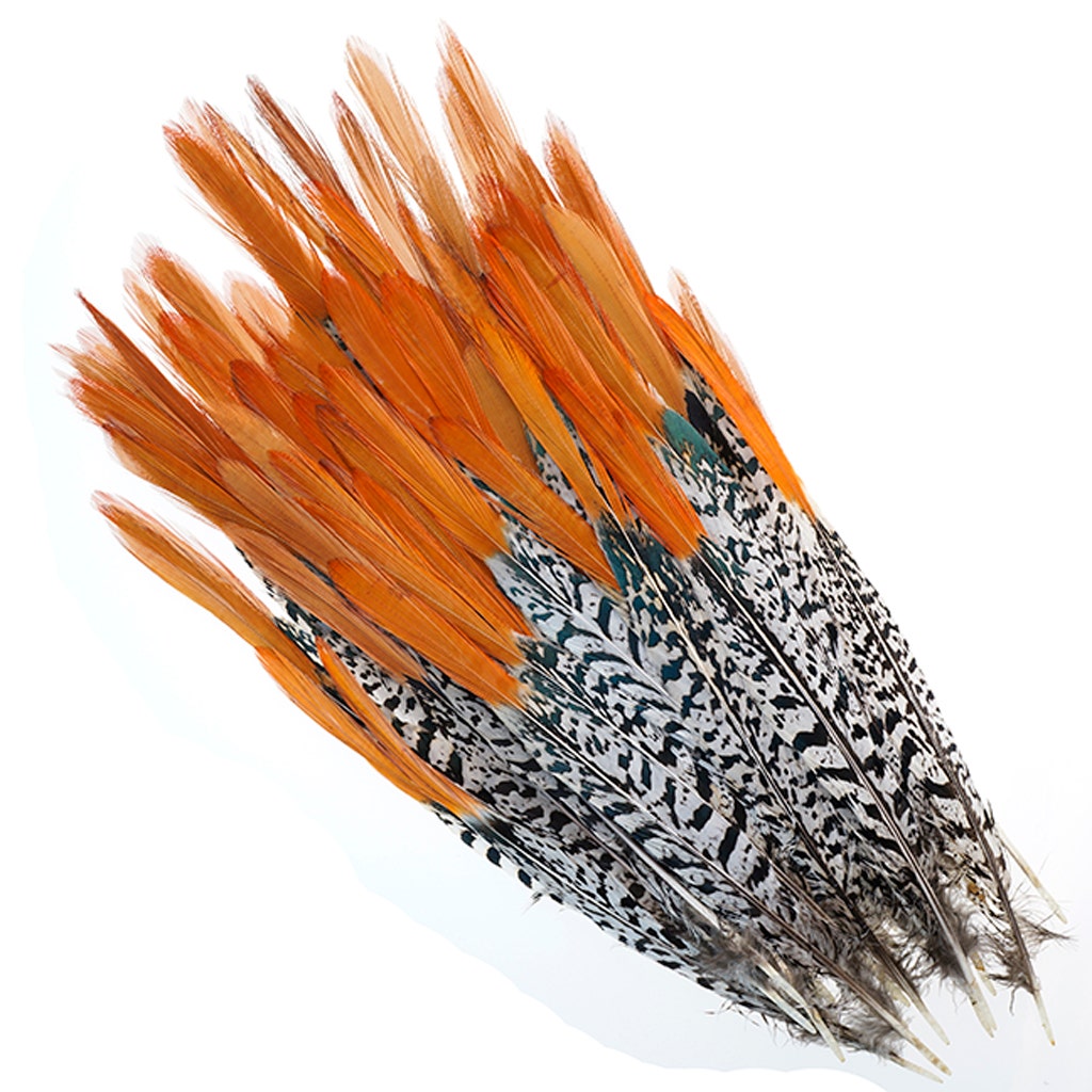 Lady Amherst Red Top Tails - Natural-8-12’’ - Feathers