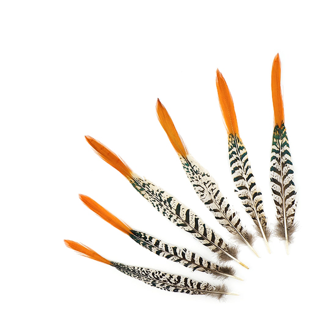 Lady Amherst Red Top Tails - Natural-8-12’’ - Feathers