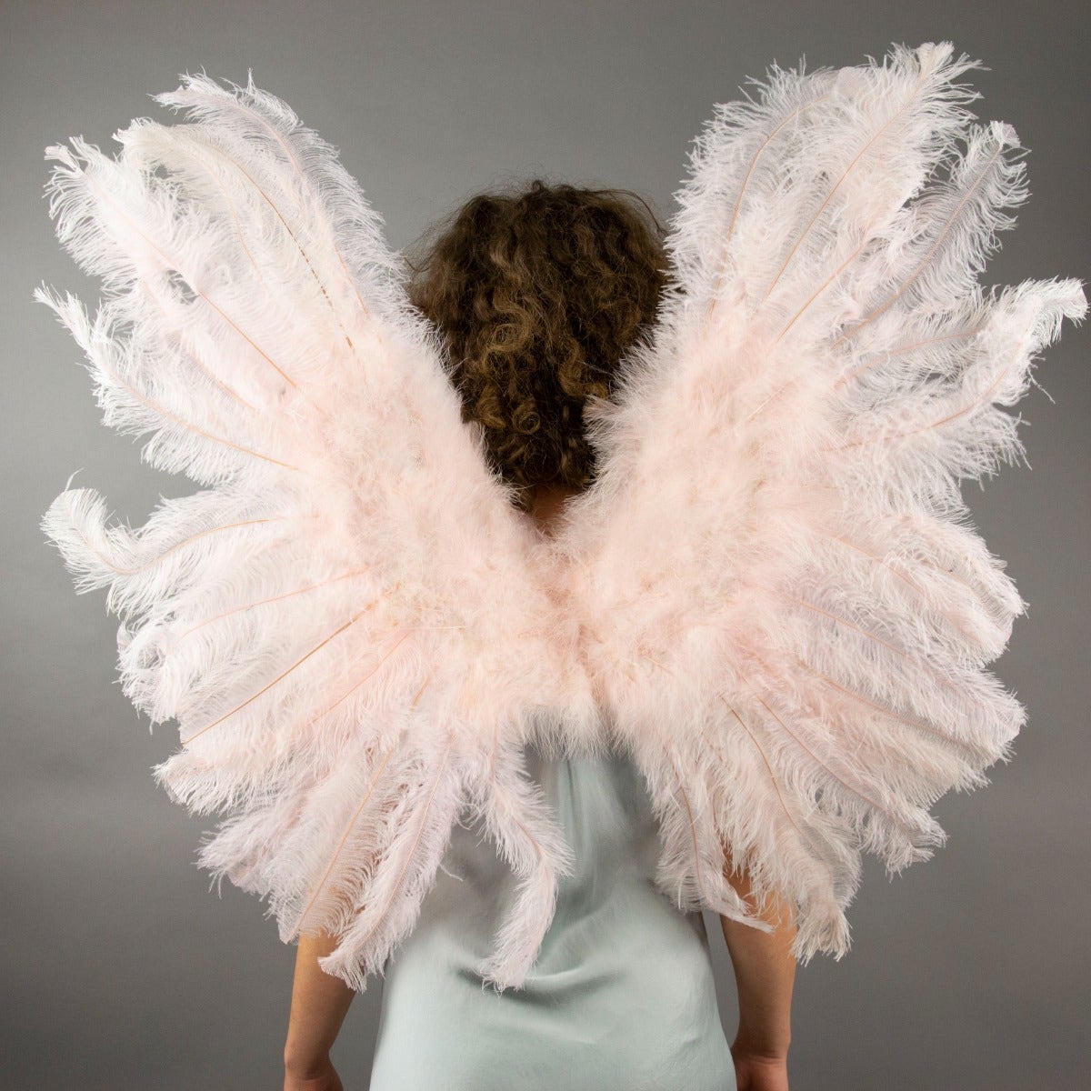 Large Ostrich Feather Wings - Champagne - Feathers