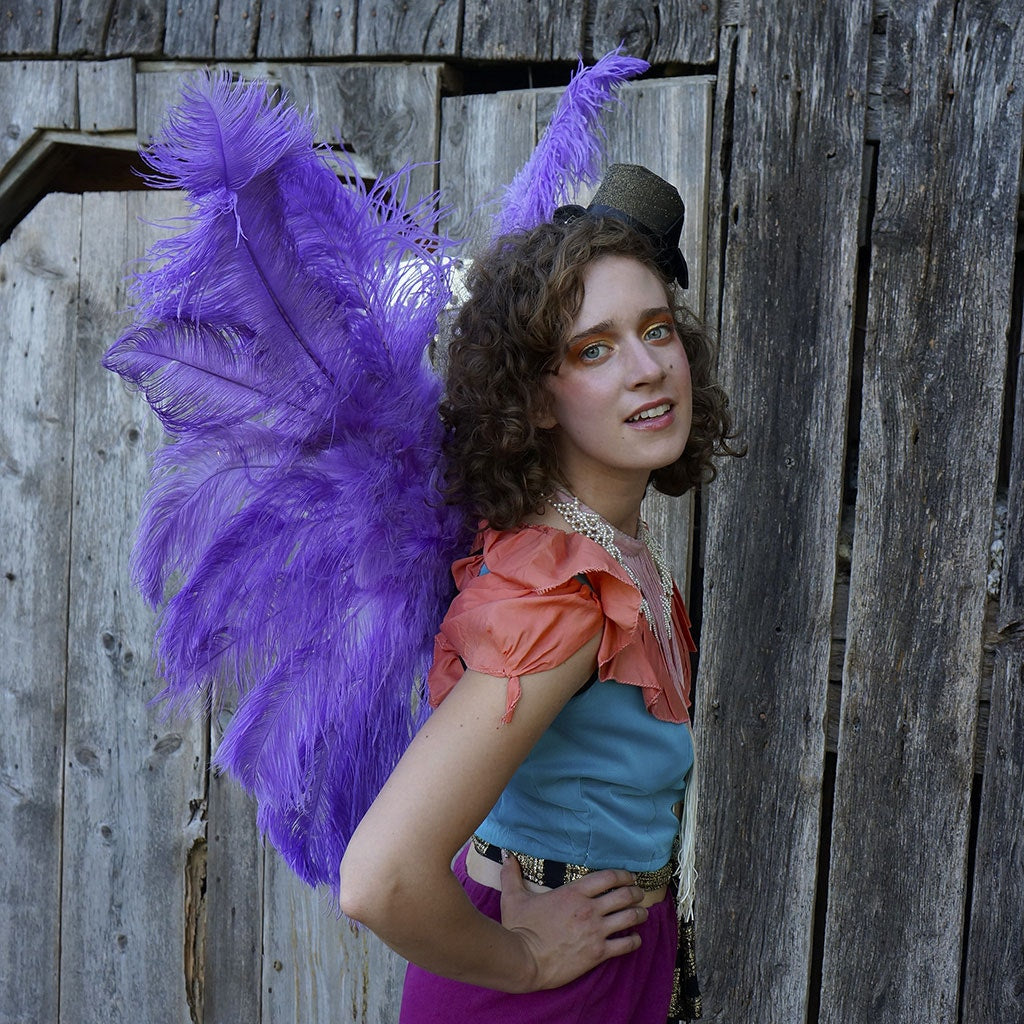 Large Ostrich Feather Wings - Lavender - Feathers