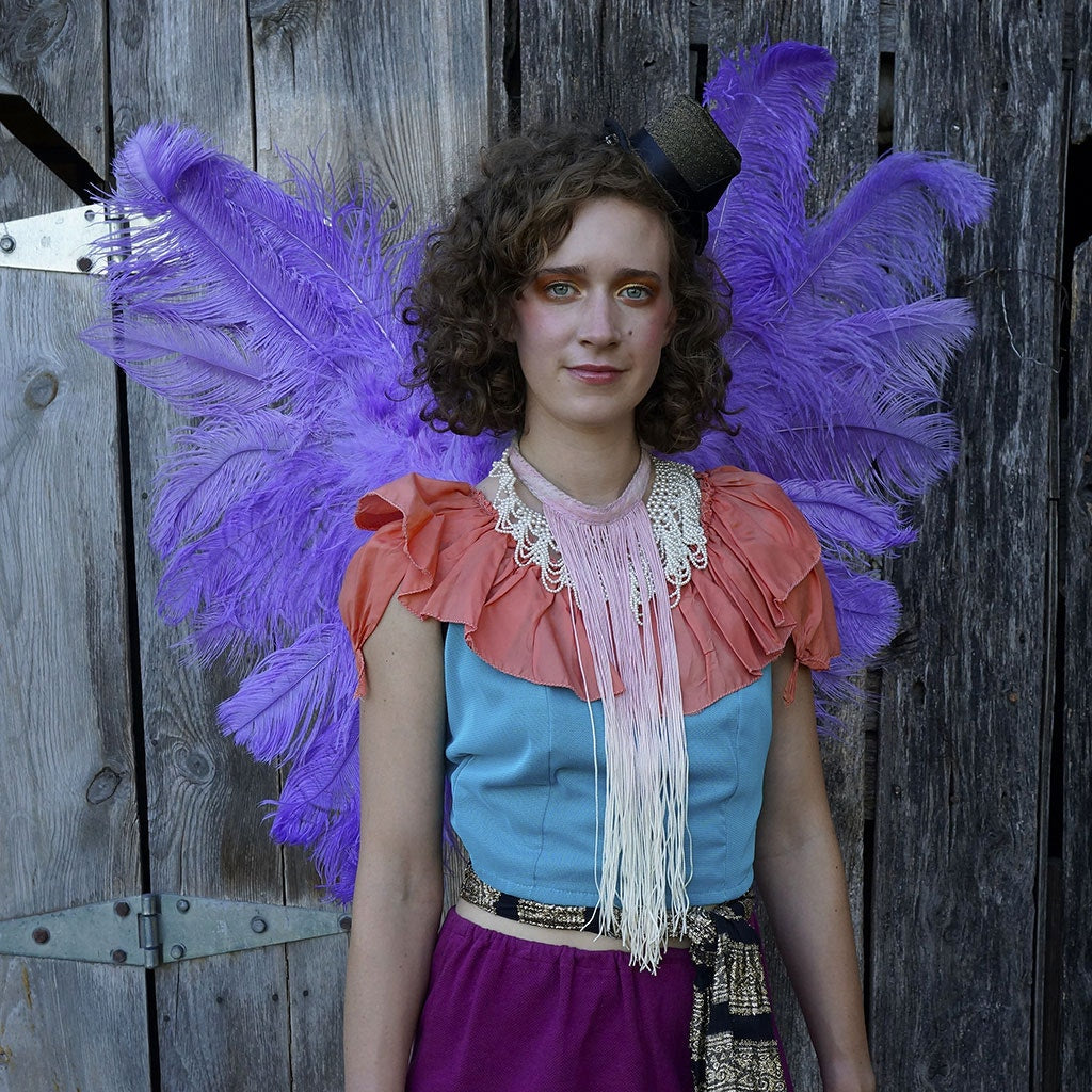 Large Ostrich Feather Wings - Lavender - Feathers