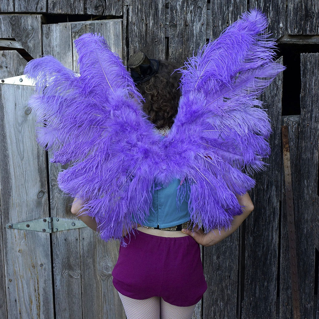 Large Ostrich Feather Wings - Lavender - Feathers