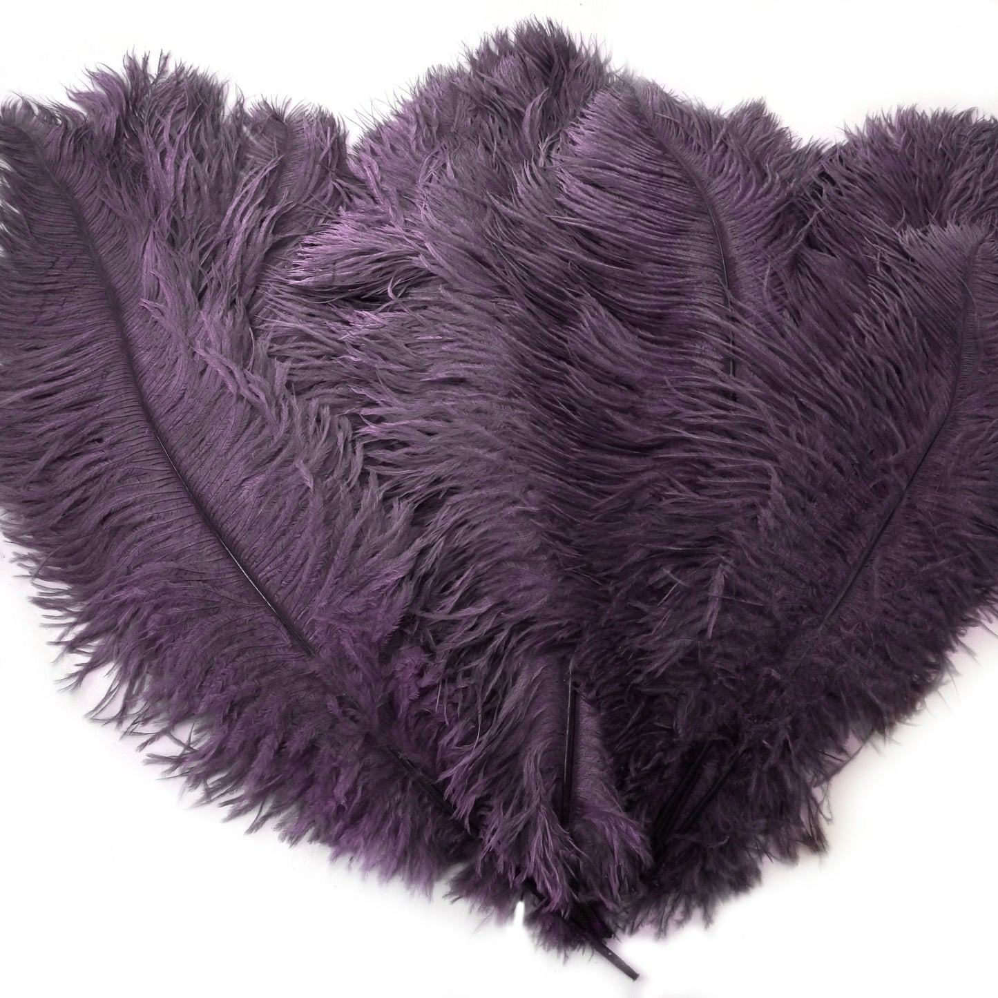 Large Ostrich Feathers - 17’’ + Drabs - Amethyst - 12 pieces - Ostrich Feathers