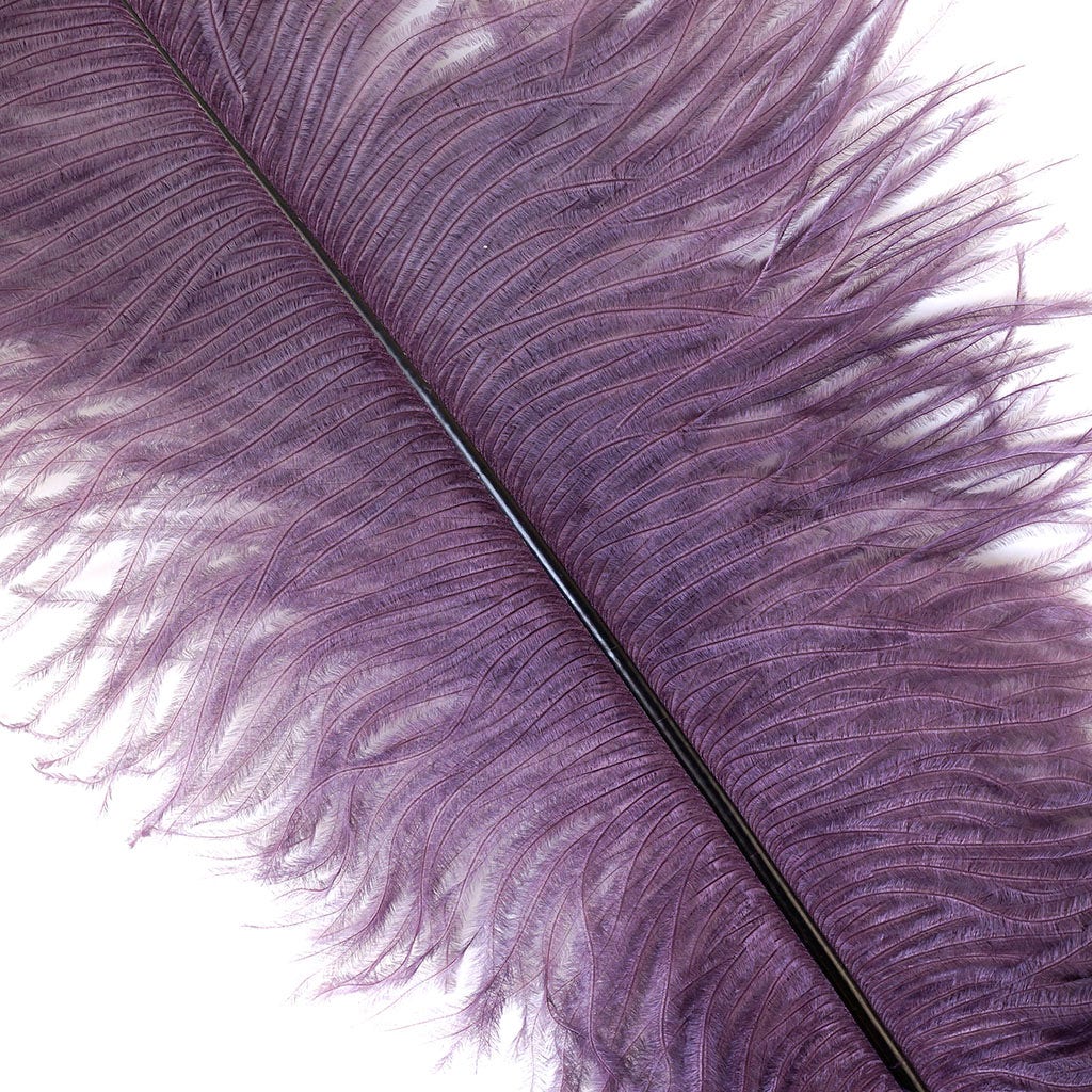 Large Ostrich Feathers - 17’’ + Drabs - Amethyst - Ostrich Feathers