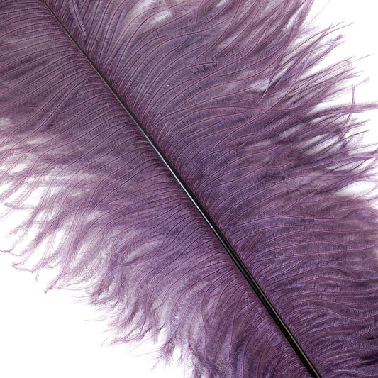 Large Ostrich Feathers - 17’’ + Drabs - Amethyst - Ostrich Feathers