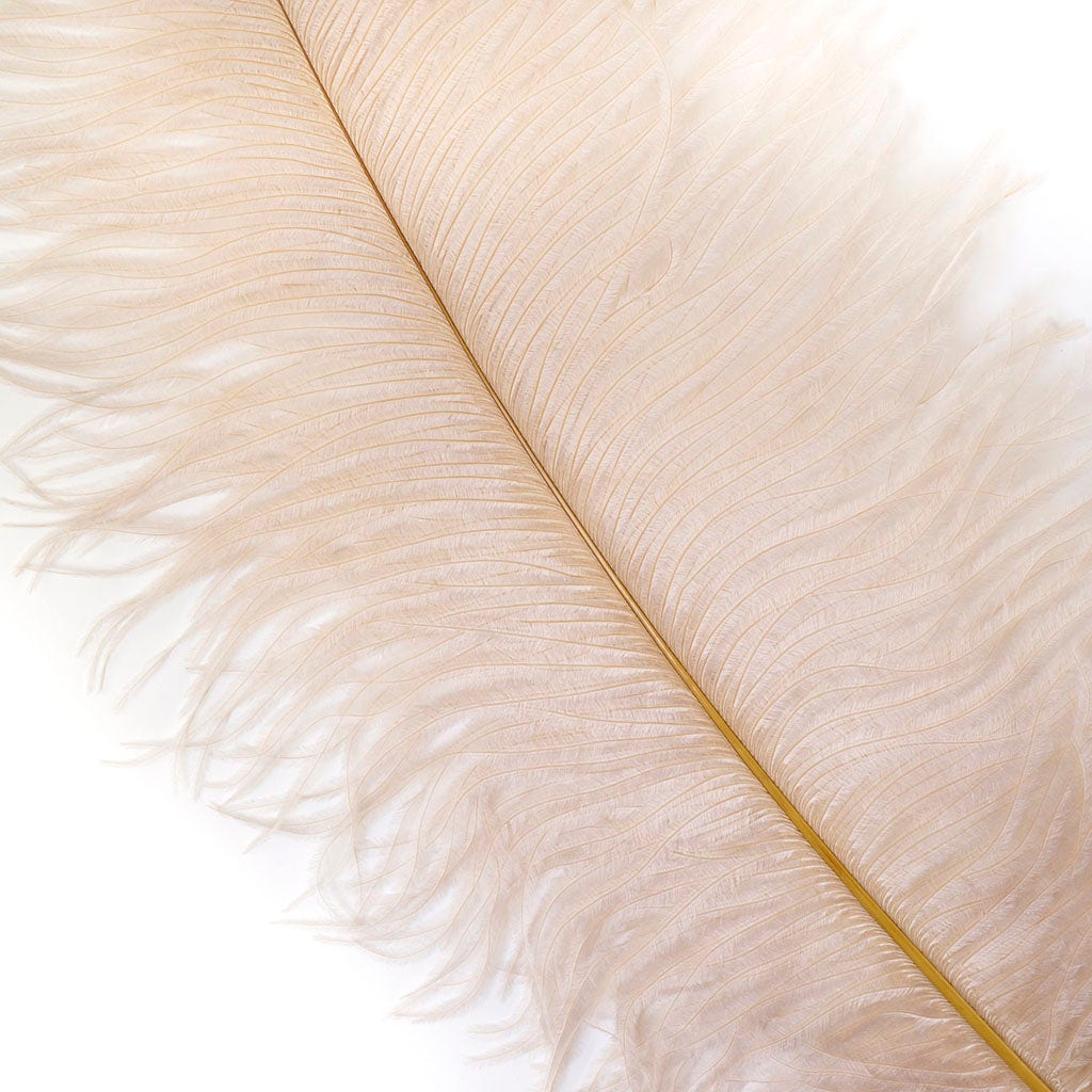 Large Ostrich Feathers - 17’’ + Drabs - Beige - Ostrich Feathers