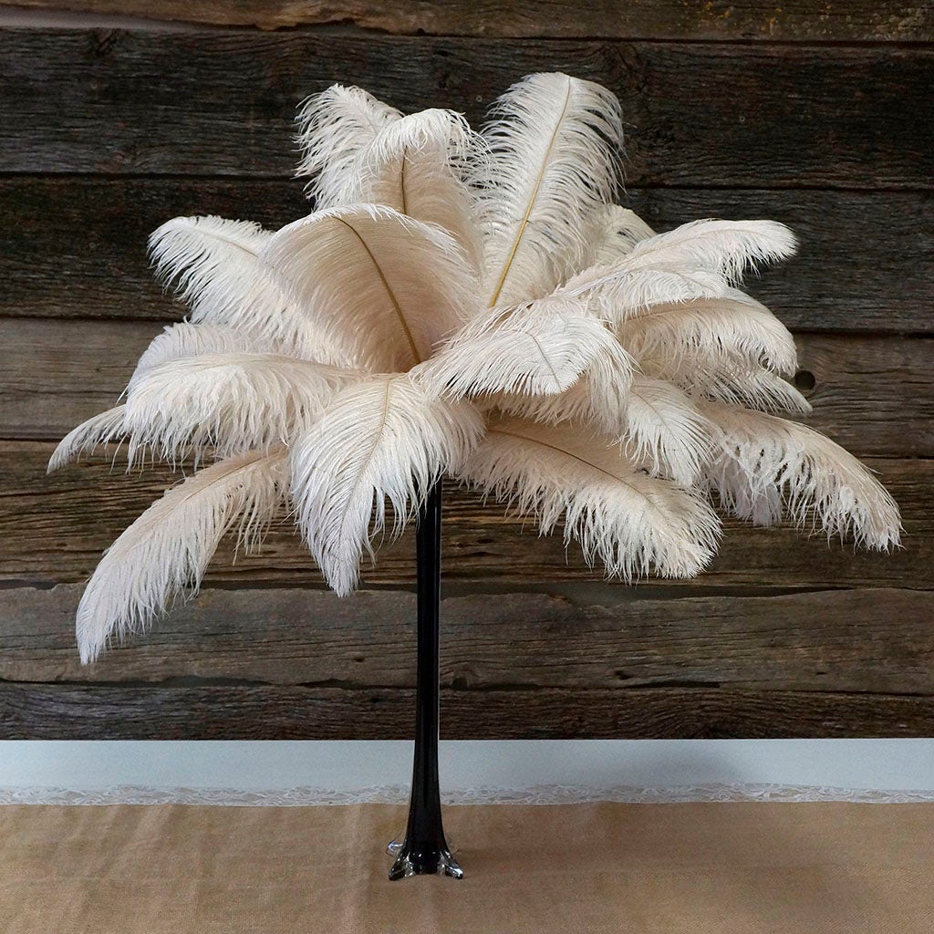 Large Ostrich Feathers - 17’’ + Drabs - Beige - Ostrich Feathers