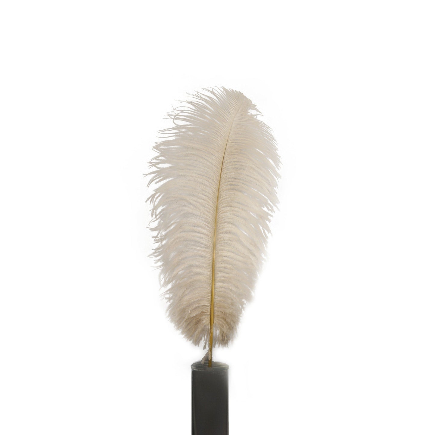 Large Ostrich Feathers - 17’’ + Drabs - Beige - Ostrich Feathers