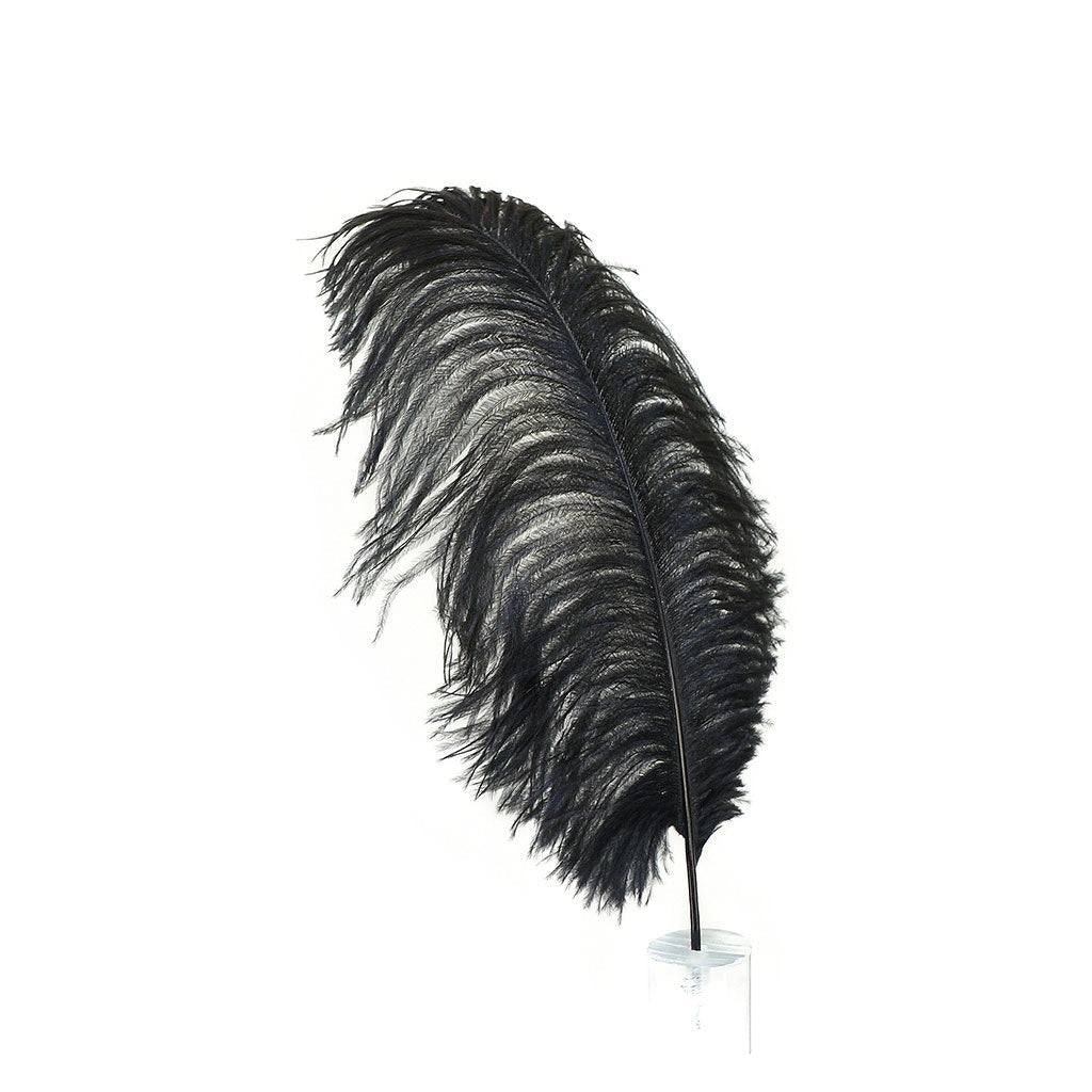 Large Ostrich Feathers - 17’’ + Drabs - Black - 1 piece - Ostrich Feathers