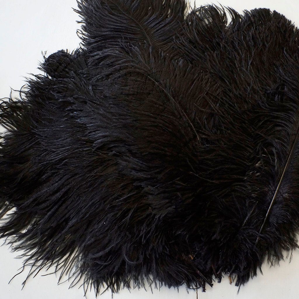 Large Ostrich Feathers - 17’’ + Drabs - Black - 12 pieces - Ostrich Feathers