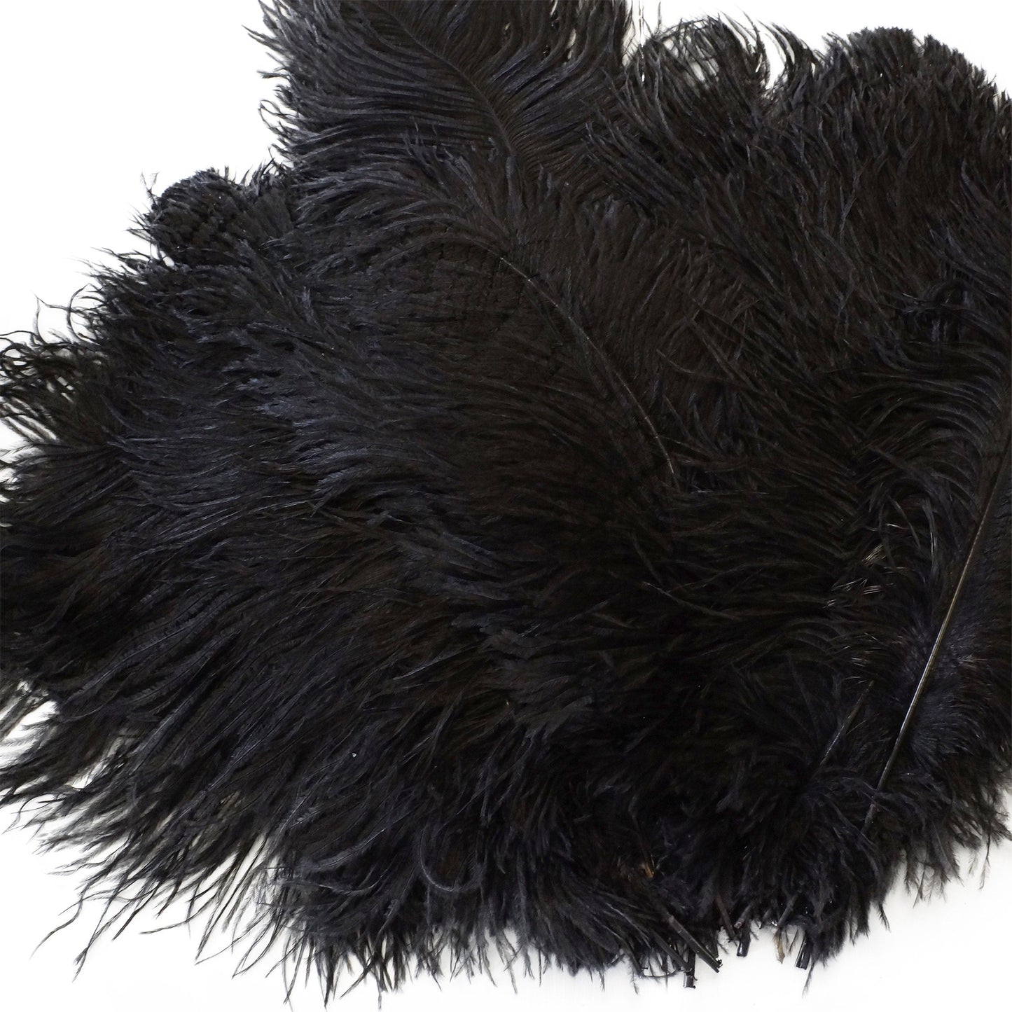 Large Ostrich Feathers - 17’’ + Drabs - Black - 25 pieces - Ostrich Feathers