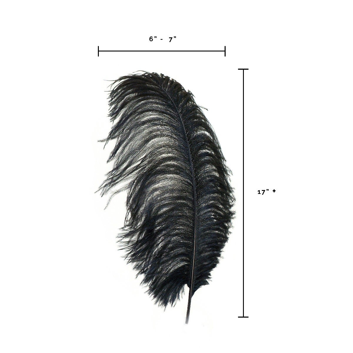 Large Ostrich Feathers - 17’’ + Drabs - Black - Ostrich Feathers