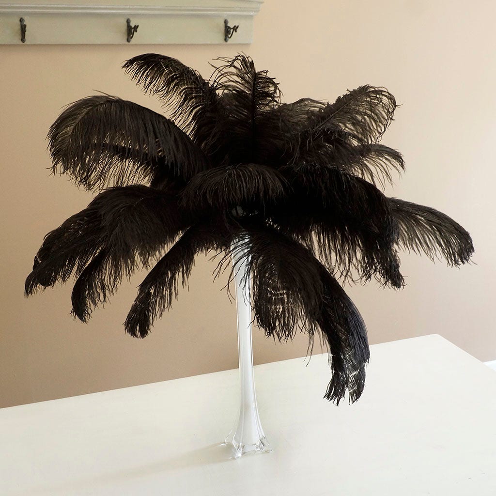 Large Ostrich Feathers - 17’’ + Drabs - Black - Ostrich Feathers