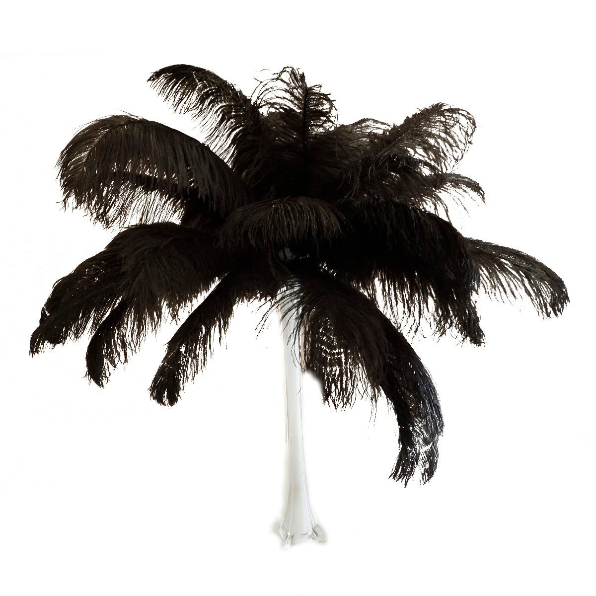 Large Ostrich Feathers - 17’’ + Drabs - Black - Ostrich Feathers