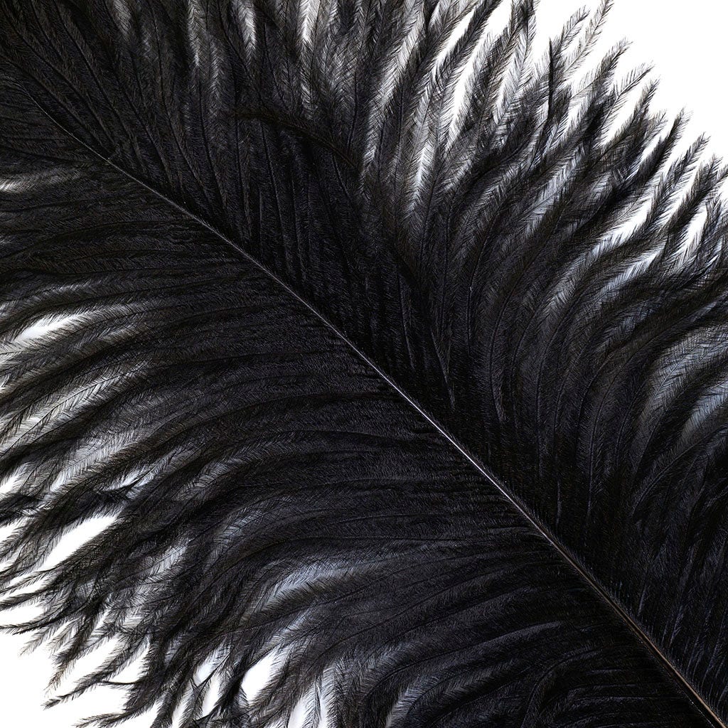 Large Ostrich Feathers - 17’’ + Drabs - Black - Ostrich Feathers