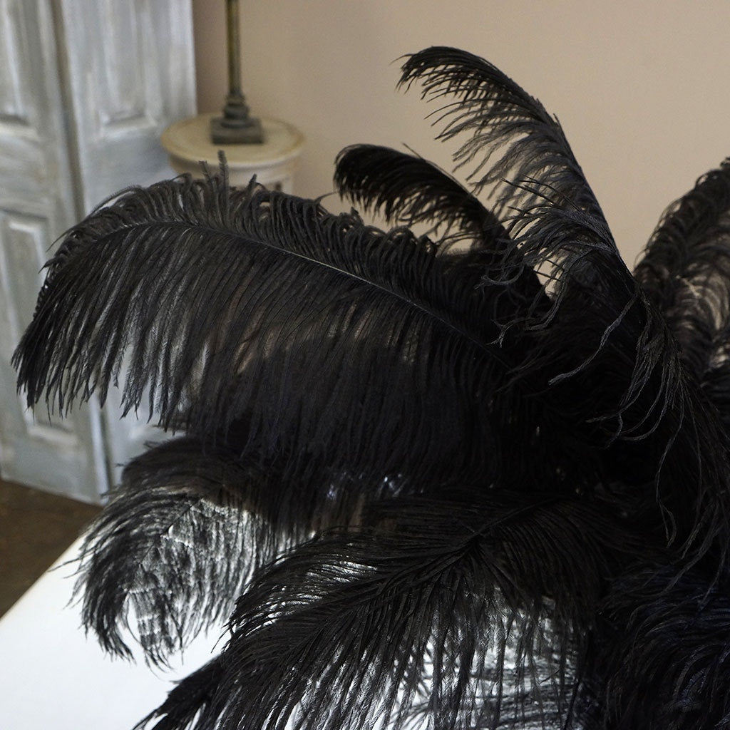 Large Ostrich Feathers - 17’’ + Drabs - Black - Ostrich Feathers