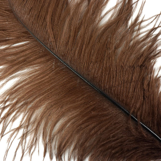 Large Ostrich Feathers - 17’’ + Drabs - Brown - Ostrich Feathers