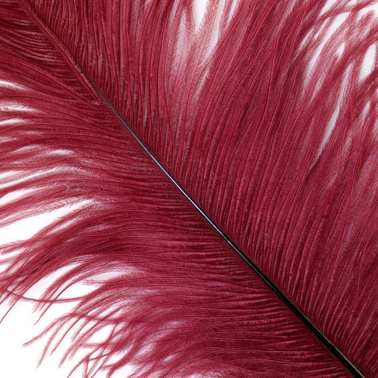 Large Ostrich Feathers - 17’’ + Drabs - Burgundy - Ostrich Feathers