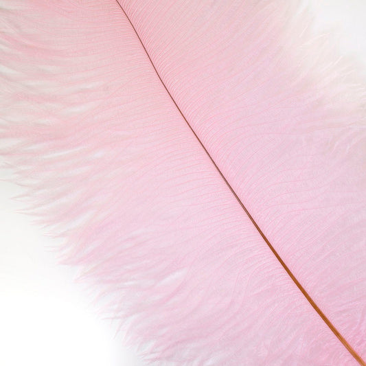 Large Ostrich Feathers - 17’’ + Drabs - Candy Pink - Ostrich Feathers