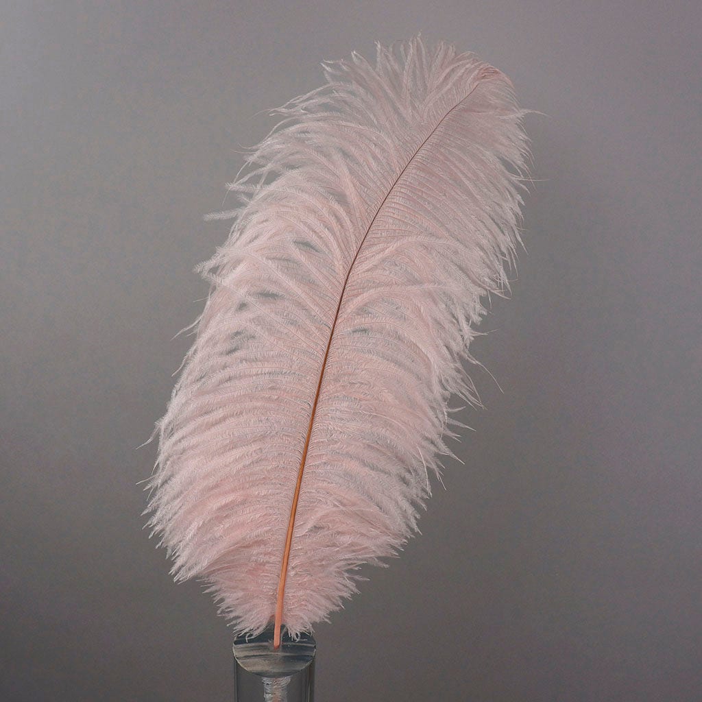 Large Ostrich Feathers - 17’’ + Drabs - Champagne - 1 piece - Ostrich Feathers