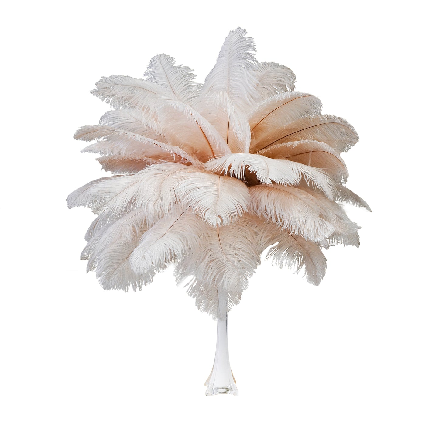 Large Ostrich Feathers - 17’’ + Drabs - Champagne - Ostrich Feathers