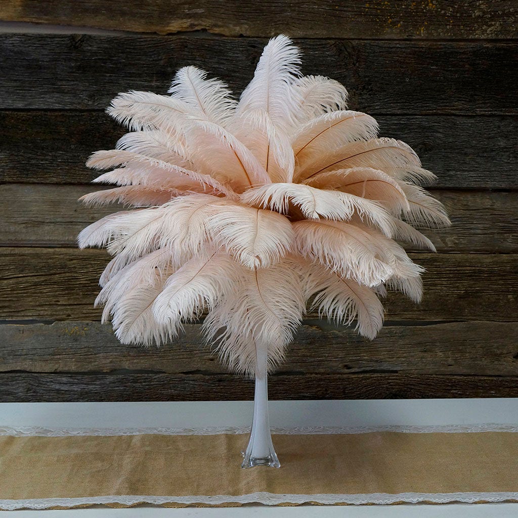 Large Ostrich Feathers - 17’’ + Drabs - Champagne - Ostrich Feathers