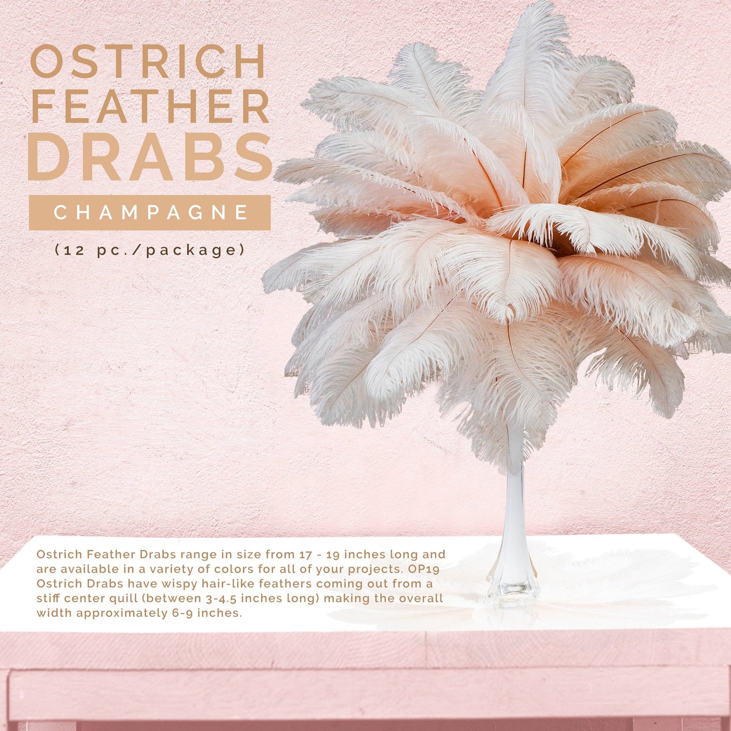 Large Ostrich Feathers - 17’’ + Drabs - Champagne - Ostrich Feathers