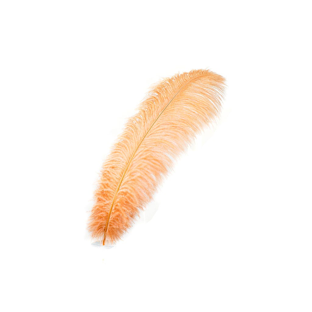 Large Ostrich Feathers - 17’’ + Drabs - Cinnamon - 1 piece - Ostrich Feathers