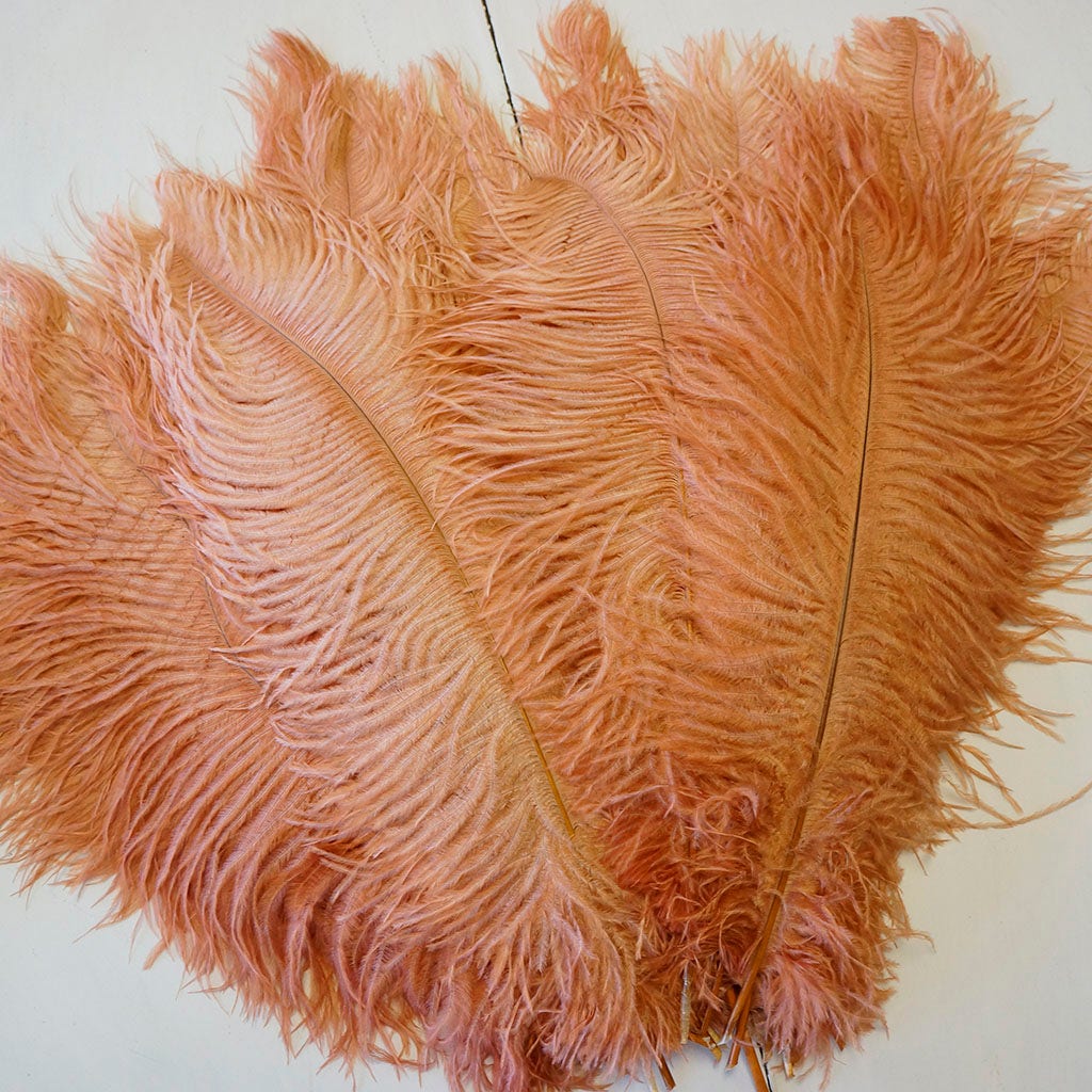 Large Ostrich Feathers - 17’’ + Drabs - Cinnamon - 12 pieces - Ostrich Feathers