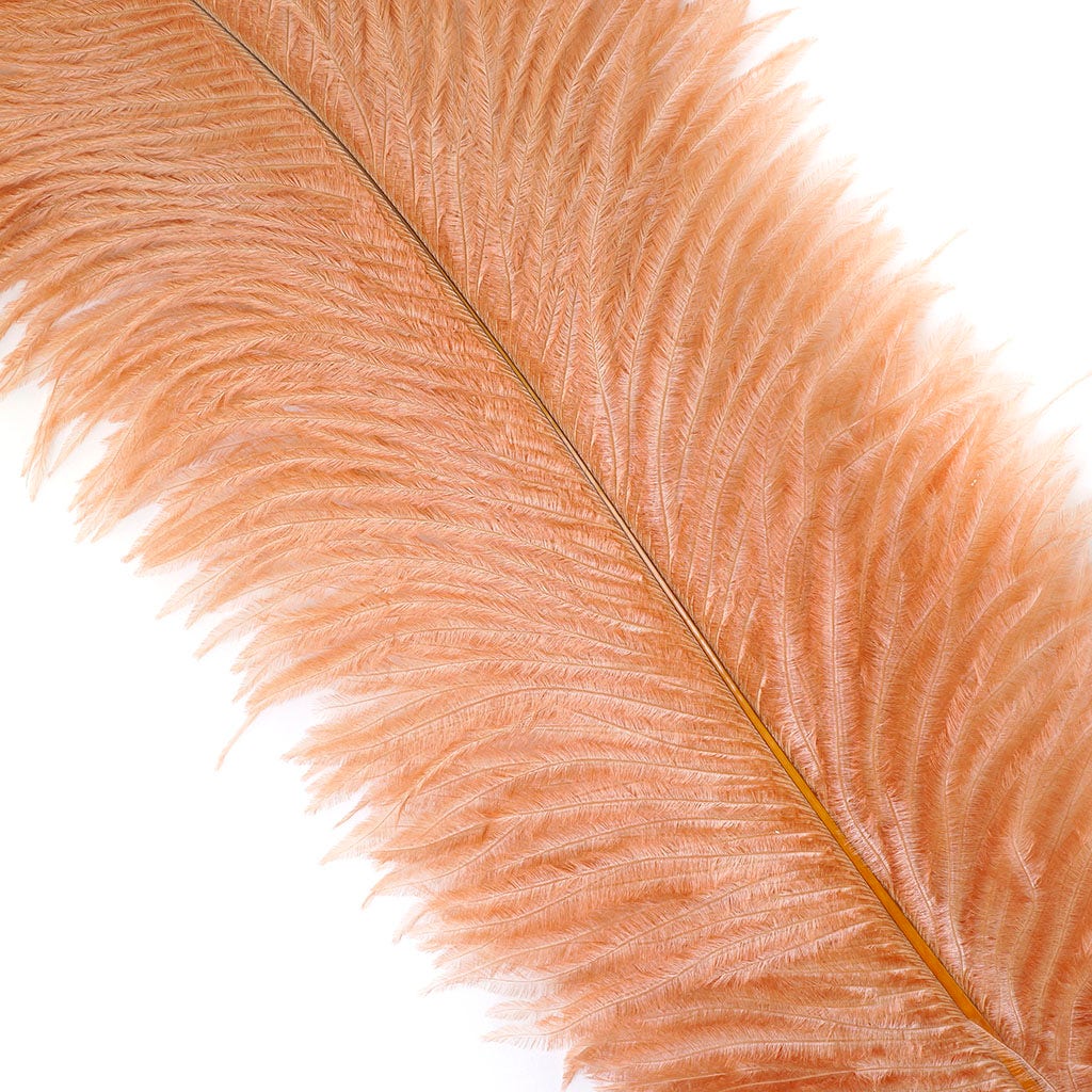 Large Ostrich Feathers - 17’’ + Drabs - Cinnamon - Ostrich Feathers