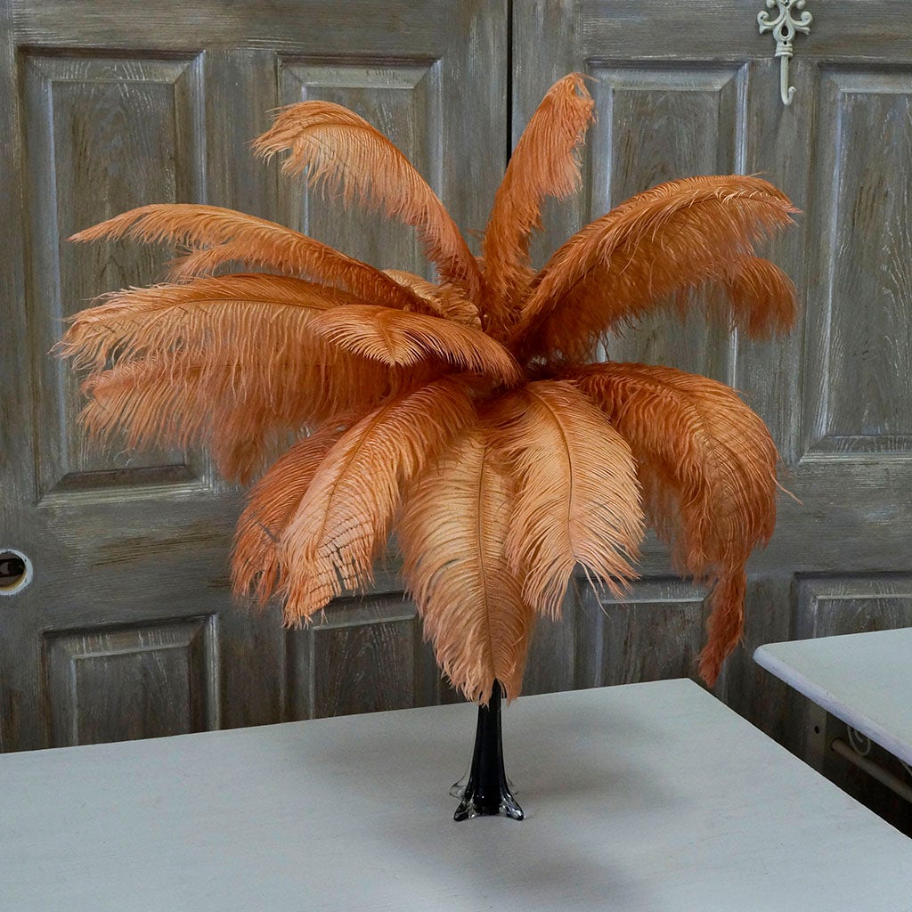 Large Ostrich Feathers - 17’’ + Drabs - Cinnamon - Ostrich Feathers