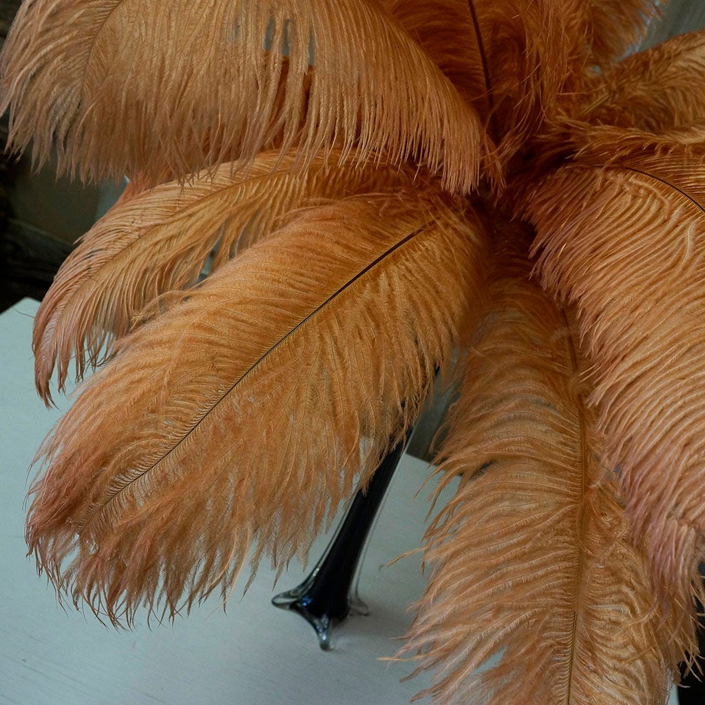 Large Ostrich Feathers - 17’’ + Drabs - Cinnamon - Ostrich Feathers