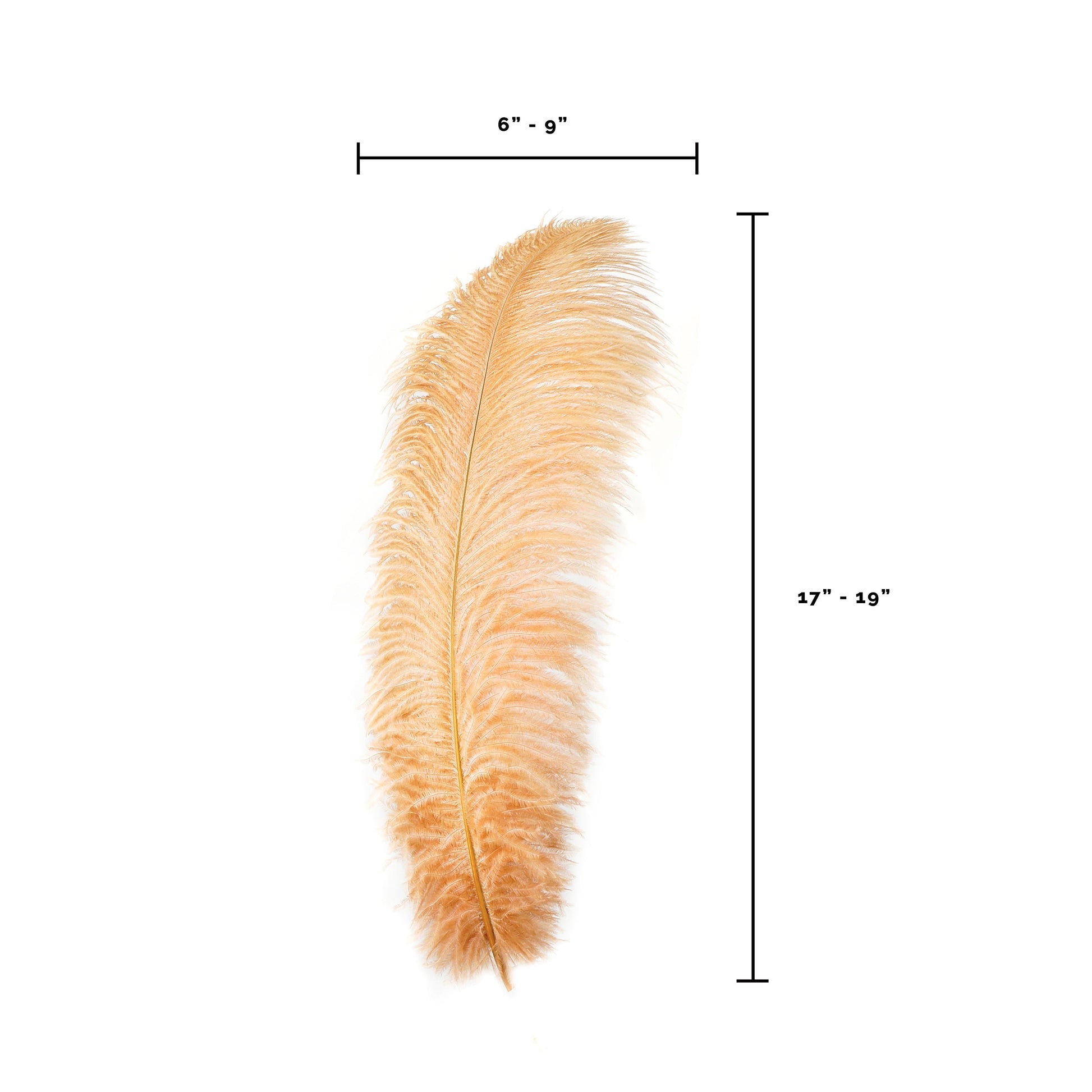 Large Ostrich Feathers - 17’’ + Drabs - Cinnamon - Ostrich Feathers