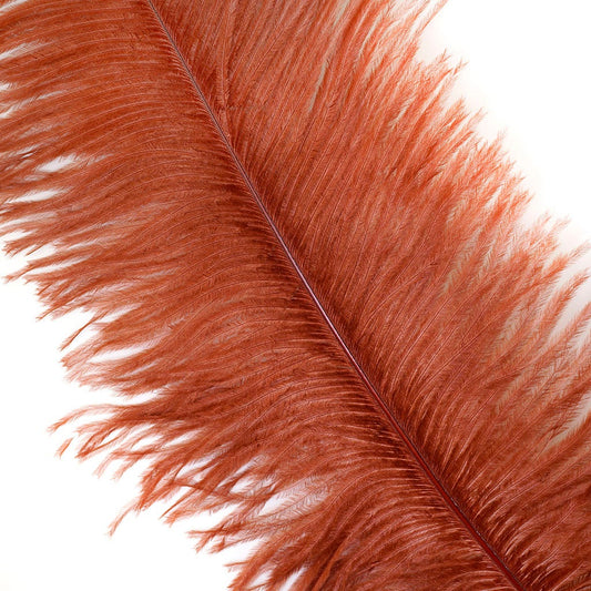 Large Ostrich Feathers - 17’’ + Drabs - Copper - Ostrich Feathers