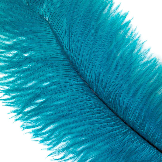 Large Ostrich Feathers - 17’’ + Drabs - Dark Aqua - Ostrich Feathers