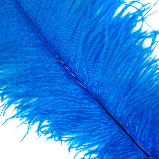 Large Ostrich Feathers - 17’’ + Drabs - Dark Turquoise - Ostrich Feathers