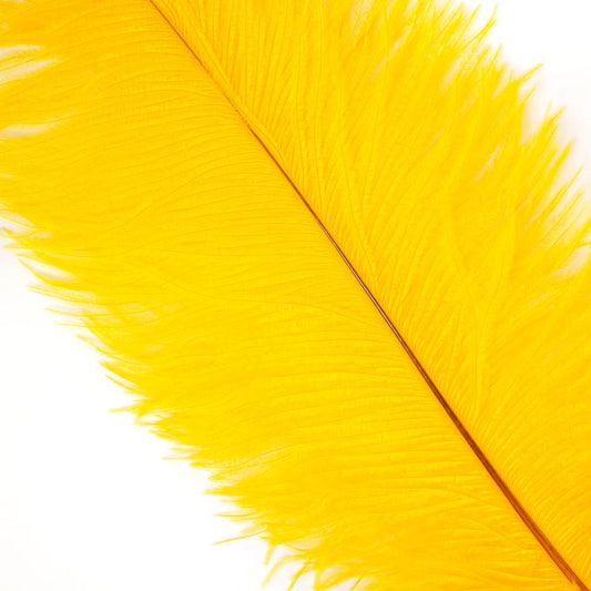 Large Ostrich Feathers - 17’’ + Drabs - Gold - Ostrich Feathers